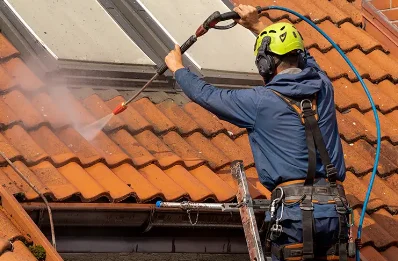 Démoussage et hydrofuge de toiture à Pluzunet